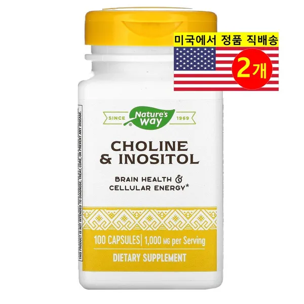 네이처스웨이 콜린 500mg