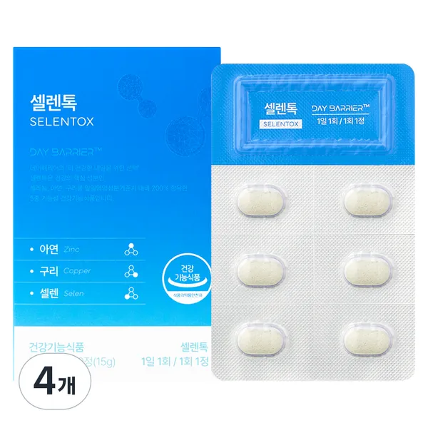 데이배리어 브이젠