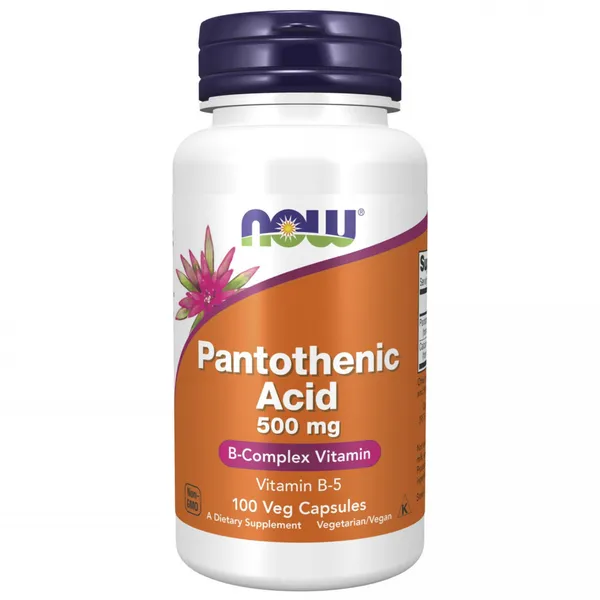 나우푸드 판토텐산 500mg