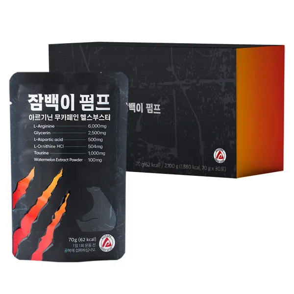 잠백이 잠백이 펌프