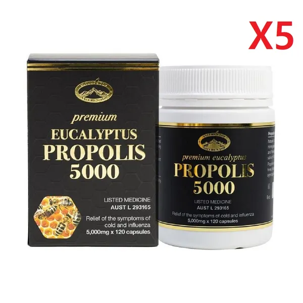 네이처스탑 프리미엄 유칼립투스 프로폴리스 5000