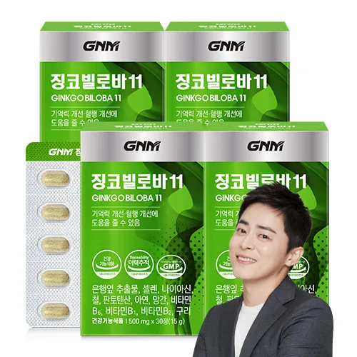 지엔엠 징코빌로바 11