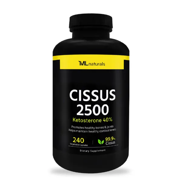 마이라이프 시서스 2500