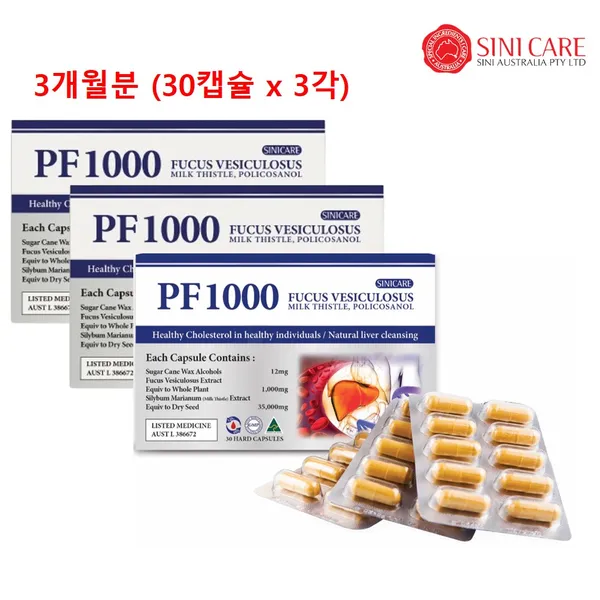 시니케어 PF 2000