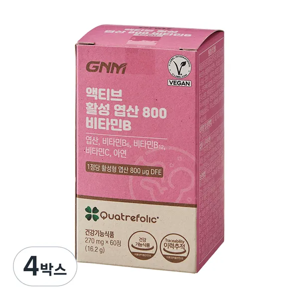 지엔엠 액티브 활성 엽산 800 비타민B